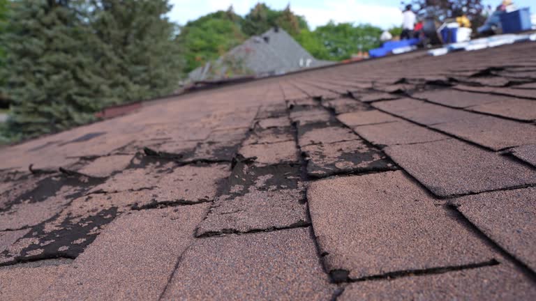 Best 4 Ply Roofing  in Hayward, WI