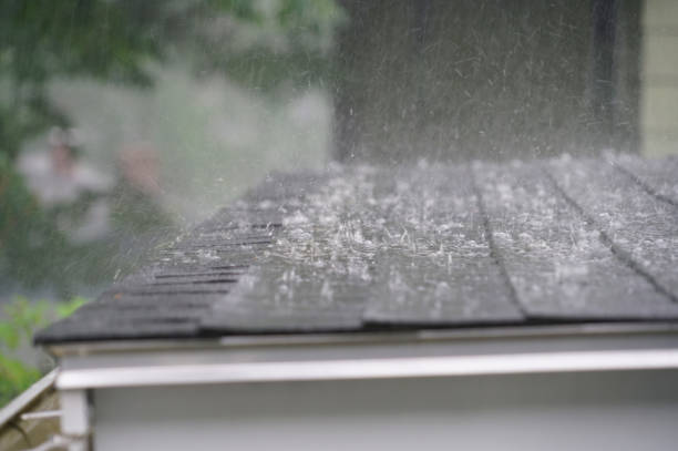 Best Gutter Installation and Repair  in Hayward, WI